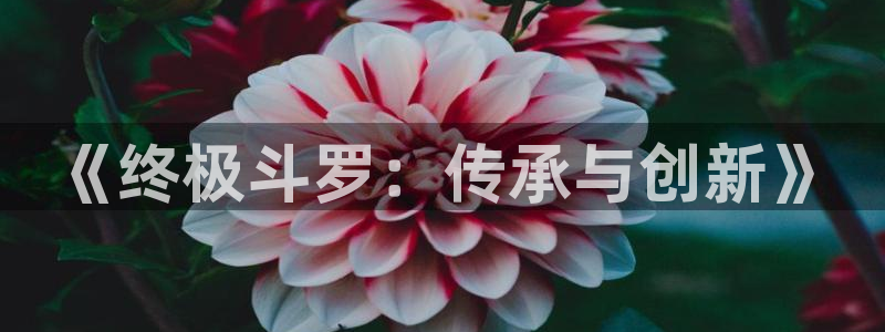 漫画凶棺：《终极斗罗：传承与创新》